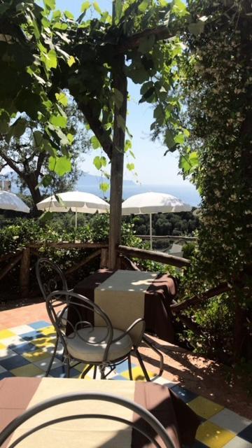 Hotel Villa Pina Antico Francischiello Massa Lubrense Εξωτερικό φωτογραφία